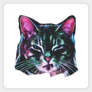 angry cat Sticker